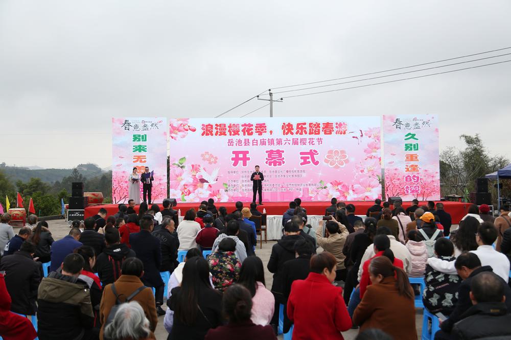 岳池县白庙镇第六届樱花节开幕