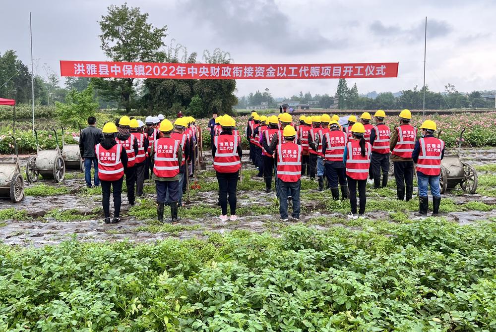 洪雅县：集民智共参与 乡村振兴在“路”上