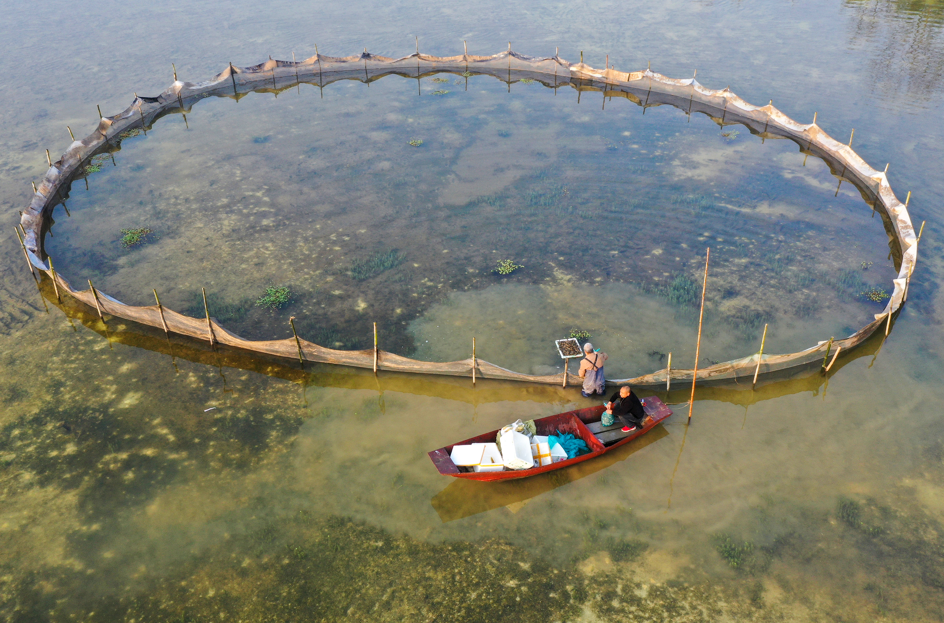 水上“春耕”正当时