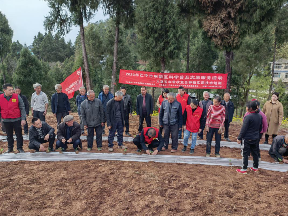 恩阳区科协志愿服务助春耕