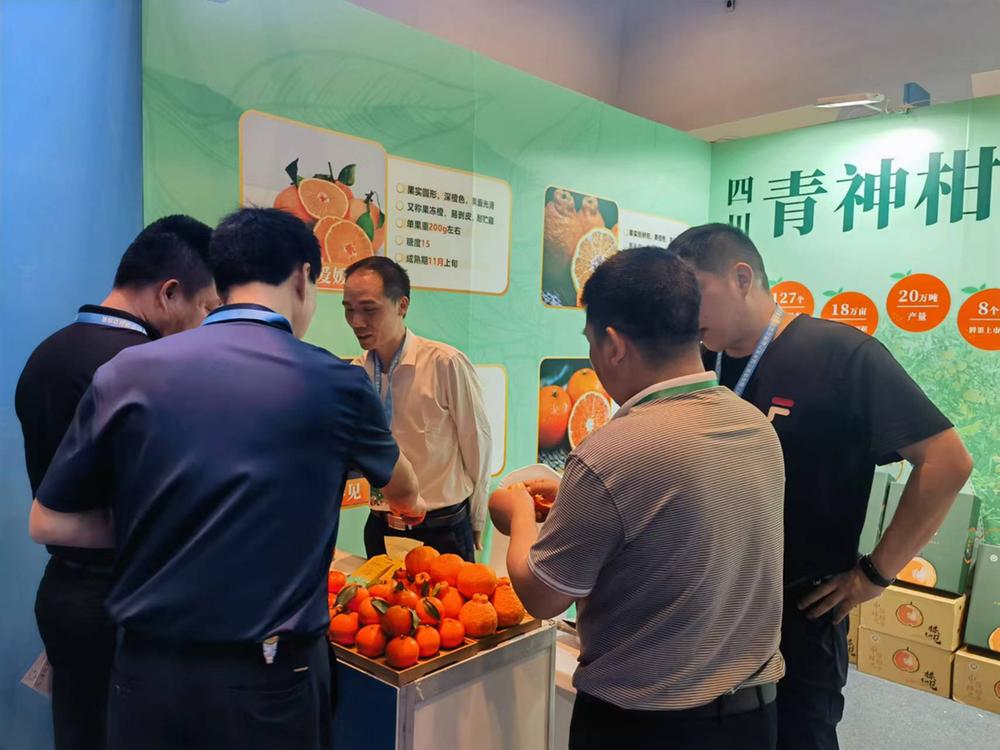青神柑橘亮相海南春季果品交易会
