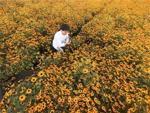 为“锦城”点赞 成都锦城学院团队再夺国家级奖项