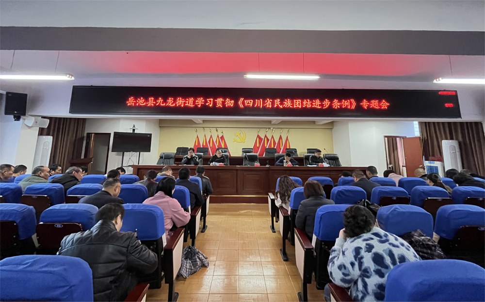 岳池县九龙街道组织学习《四川省民族团结进步条例》