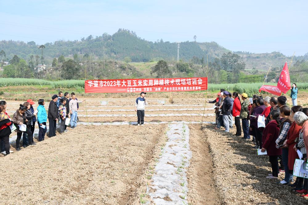 华蓥市开展大豆玉米实用种植技术培训