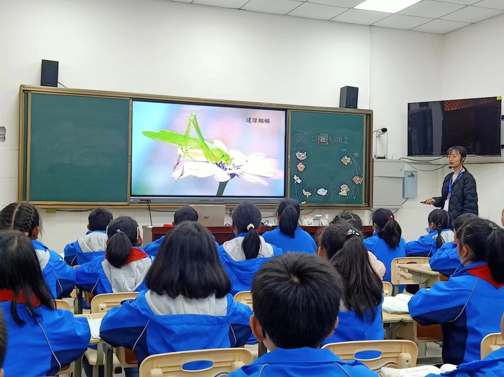 平昌县驷马小学开展课堂教学展评活动