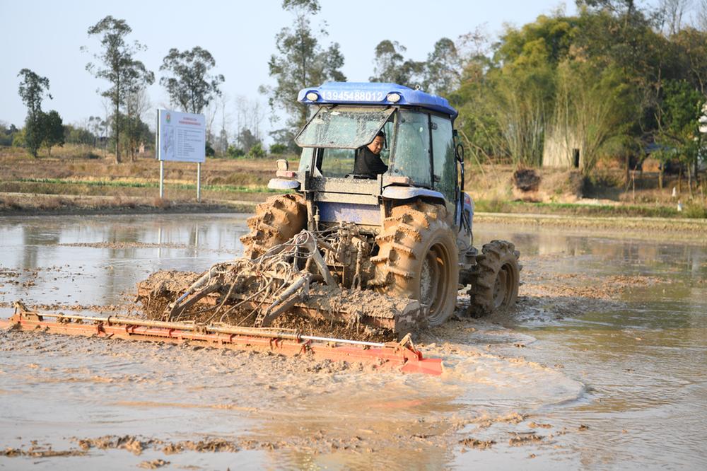 邻水县：奏响春耕备耕“进行曲” 打好粮食安全“主动仗”