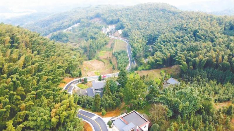 长宁县立足特色优势，绘就美丽乡村新画卷