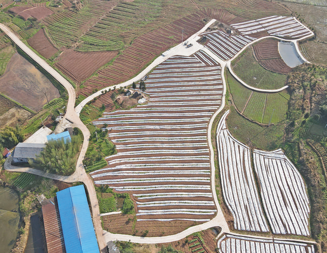 前锋区：不负春光好时节 扬鞭奋进正当时