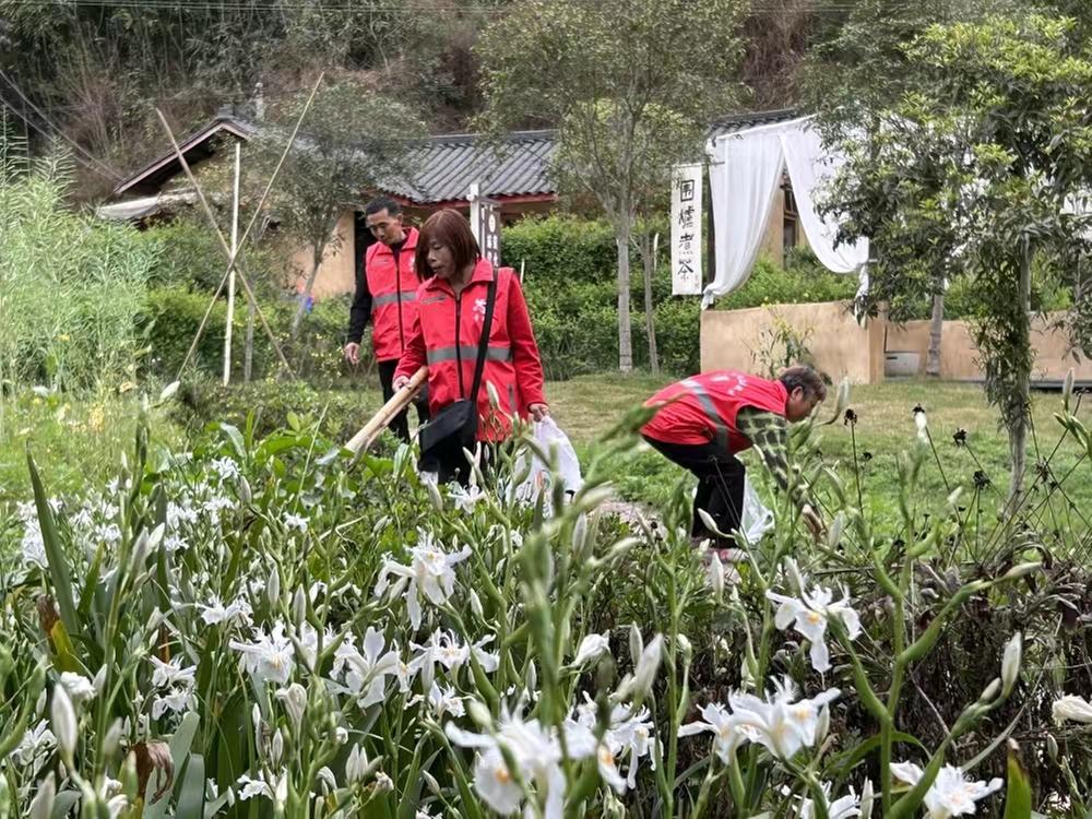 春季邀您来青神 共赴一场流萤之约