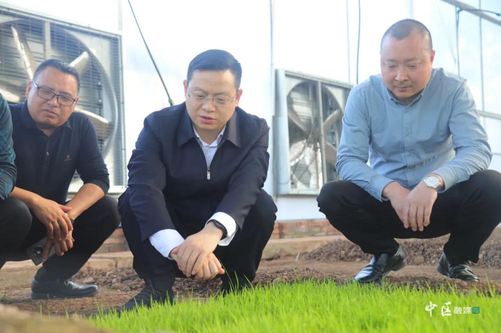 内江市市中区领导调研春耕生产工作