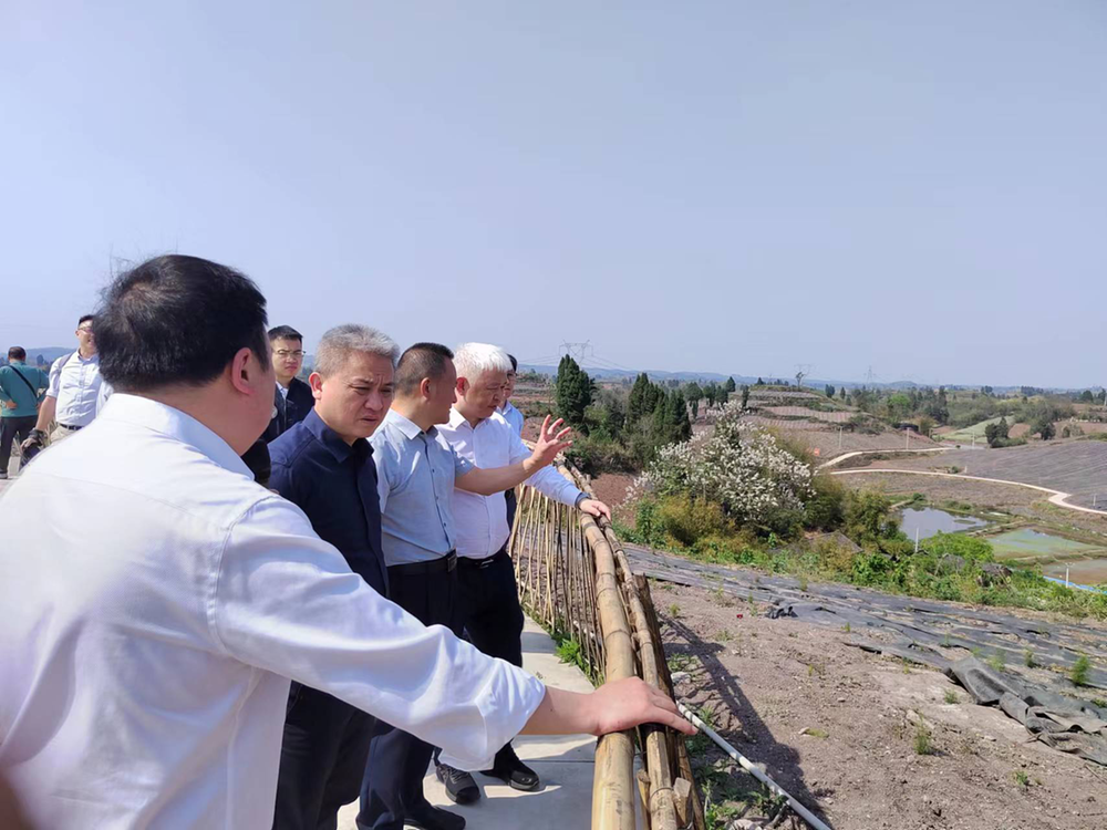 省科协调研组深入内江调研中医药产业发展情况