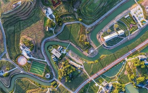 覆盖率70%以上的52度江小白，成为糖酒会主角