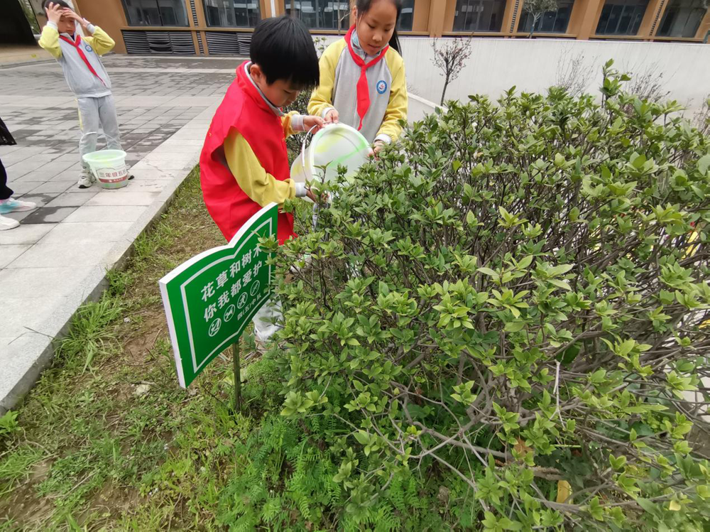 广安区枣山小学开展校园植树和除草活动