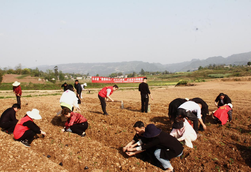 丰禾镇开展“助春耕生产 育时代新苗”主题党日活动