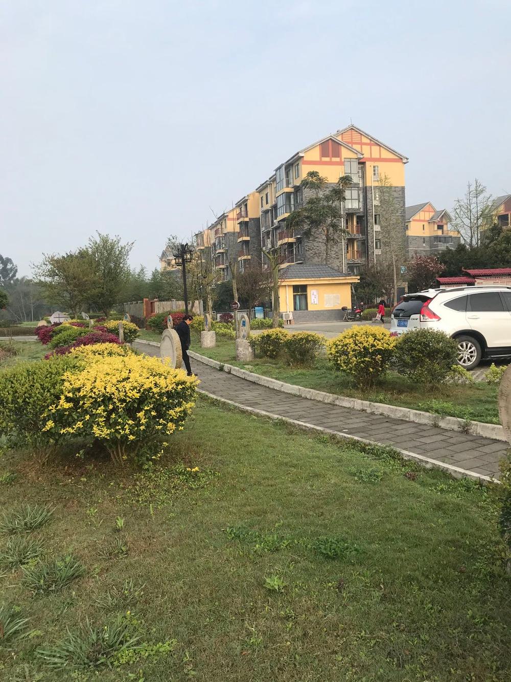 尚义镇：基层社会治理工作取实效