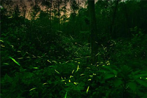 青神县：文旅节会促消费 激活乡村振兴新动能