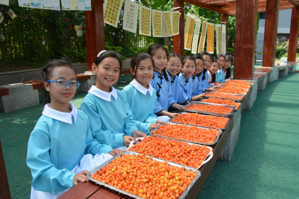 通江县第六小学举办樱桃诗会