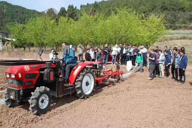 简阳全程机械化播种助力花生产业高质量发展