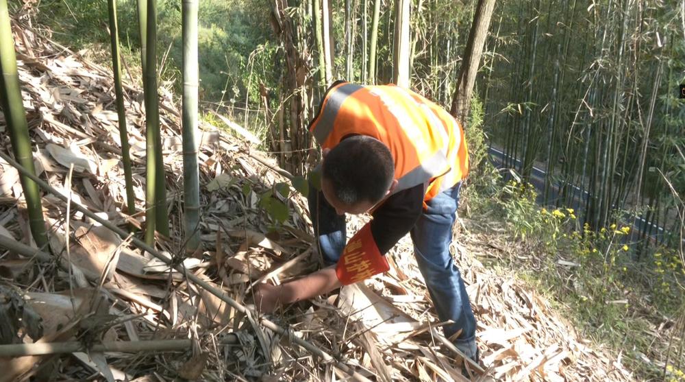 青神：宣传巡查不停歇 森林防火不松懈