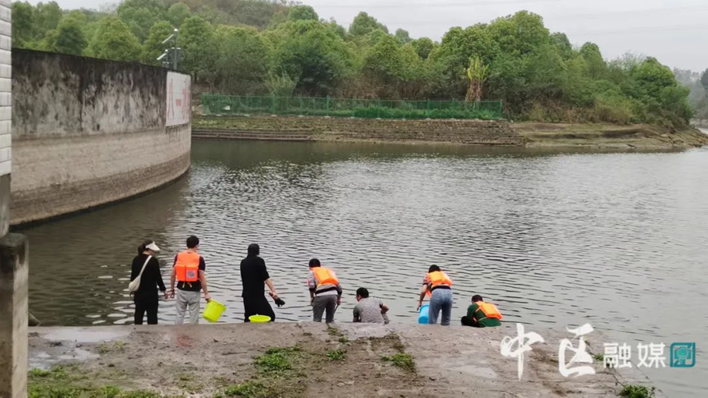 内江市市中区举行大水面生态渔业发展现场启动仪式
