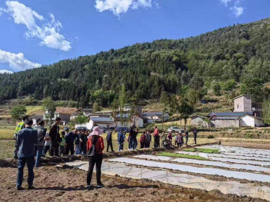 国家科技特派团下乡万里行首发团走进凉山州