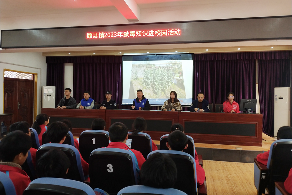 岳池县顾县镇开展禁毒知识进校园活动