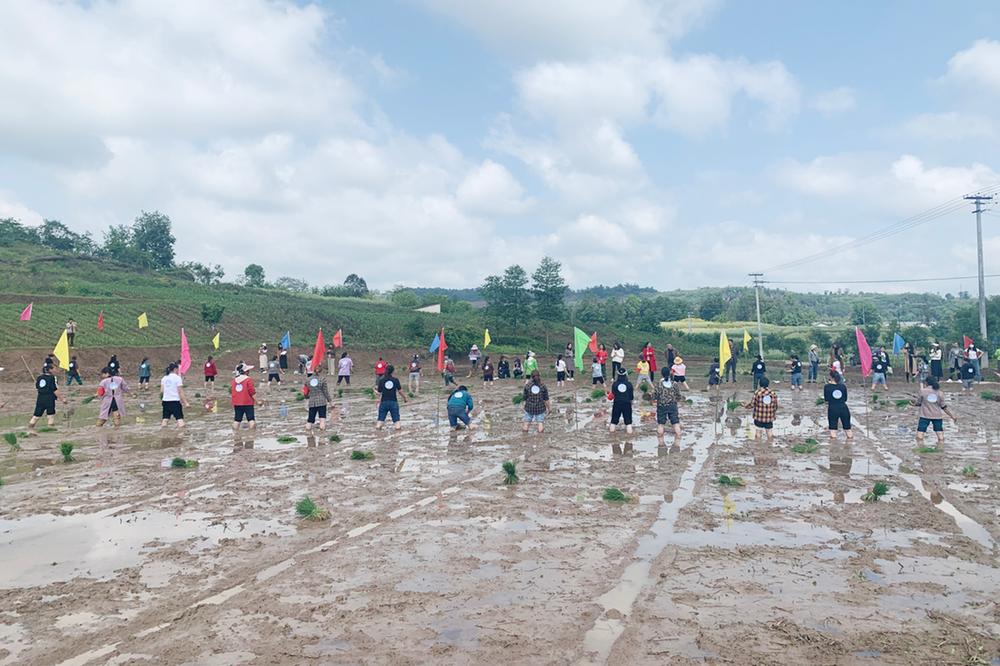川渝巾帼拼技能  科技助农促振兴