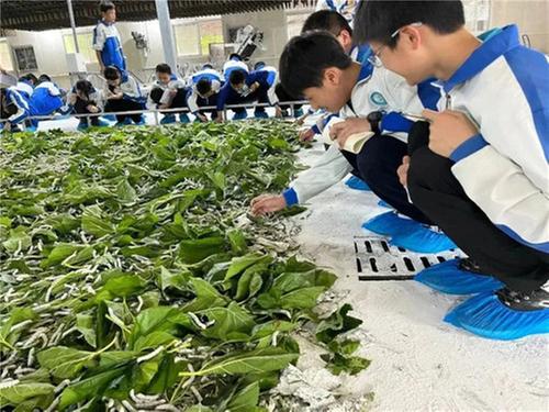 巴中市通江三中开展学生科技实践活动