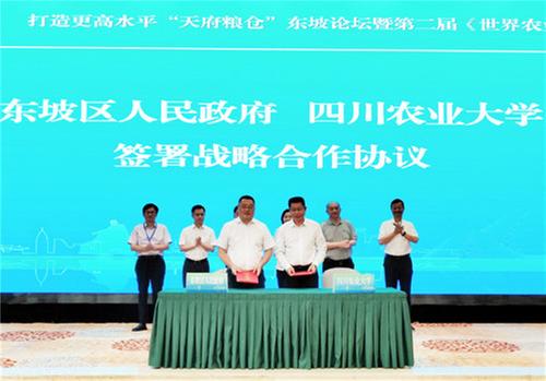 首届打造更高水平“天府粮仓”东坡论坛举行