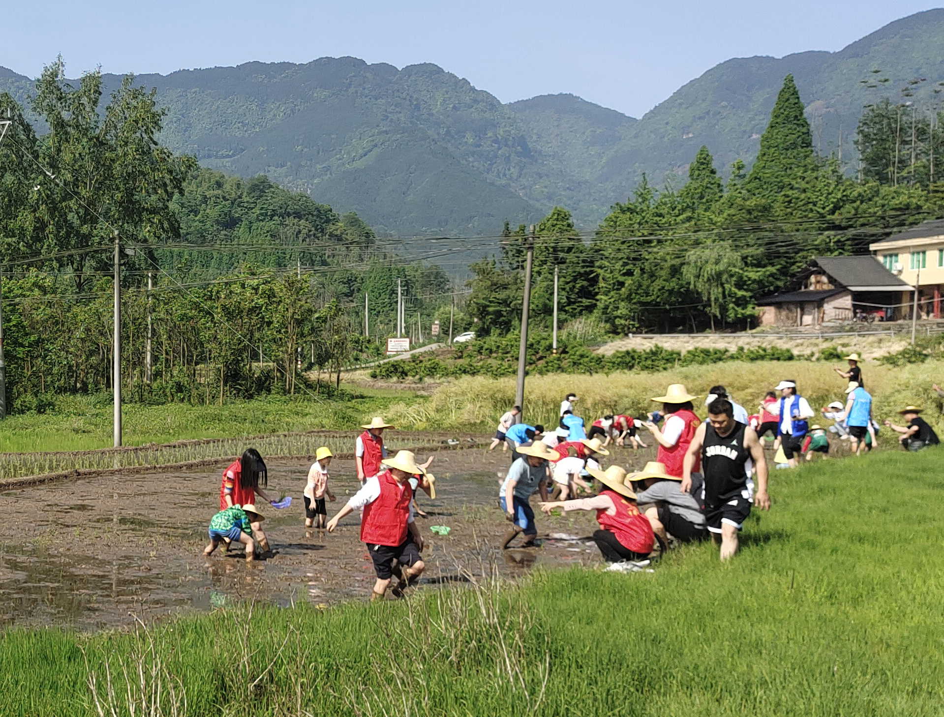 洪雅县：快乐劳动节开启“小米大爱”科普研学农耕之旅