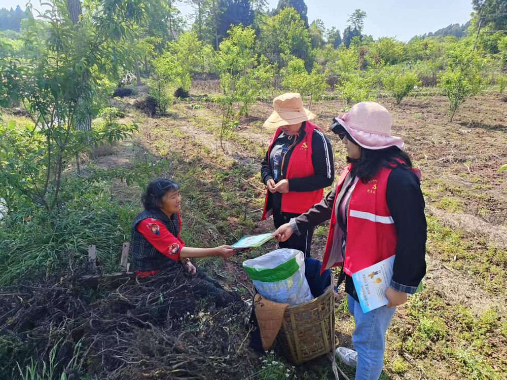 成都东部新区石板凳街道：“微网实格”筑牢秸秆禁烧“防火墙”