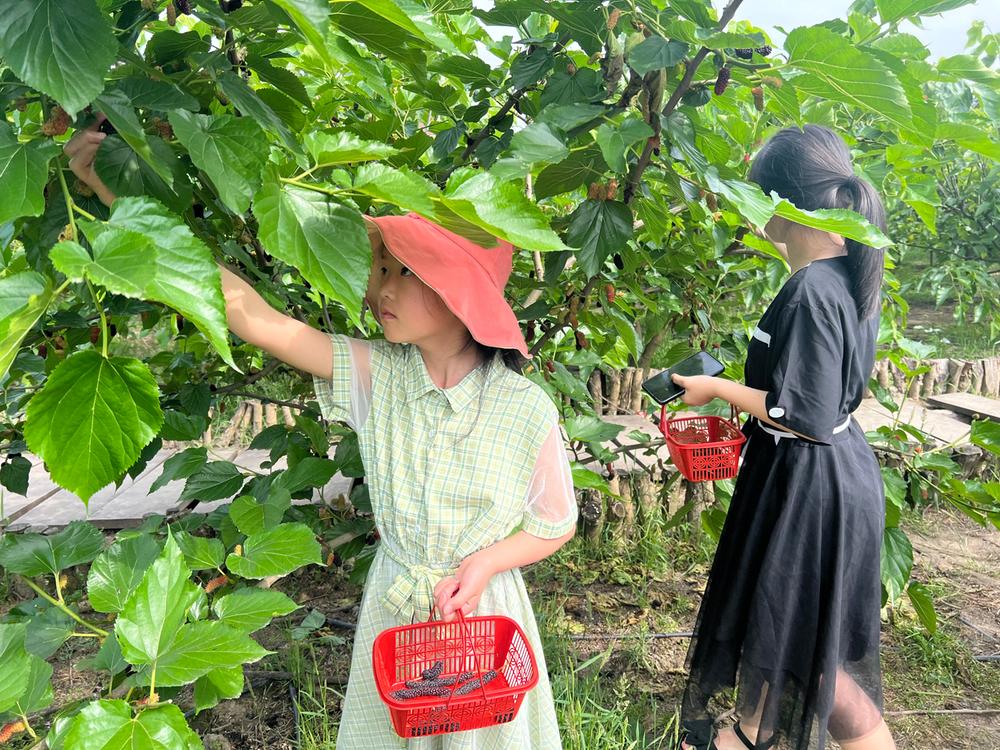 洪雅县：“五一”假期旅游收入超1.84亿元