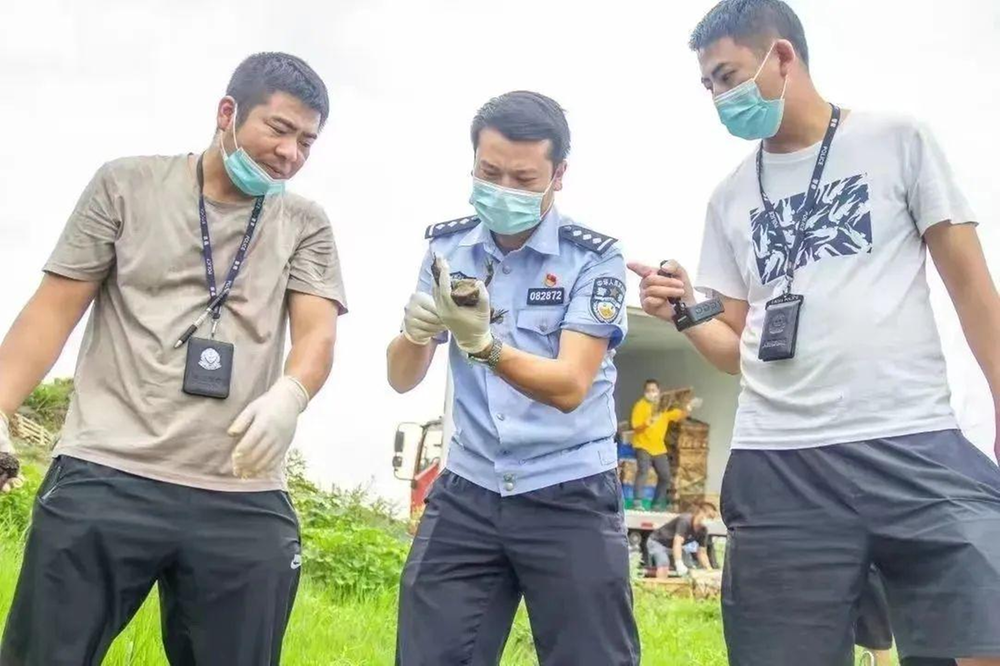 点赞！内江市公安局市中区分局这个青年集体获省级表扬