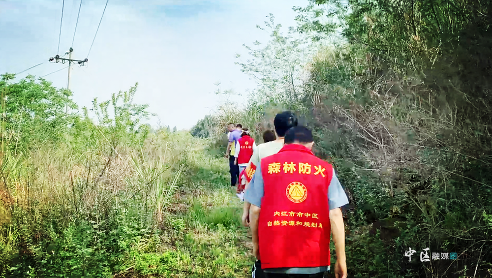 重在预防！内江市市中区多举措织密森林防火“安全网”