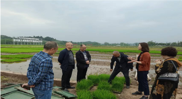 东兴区老科协组织农业专家赴田间地头科技助春耕