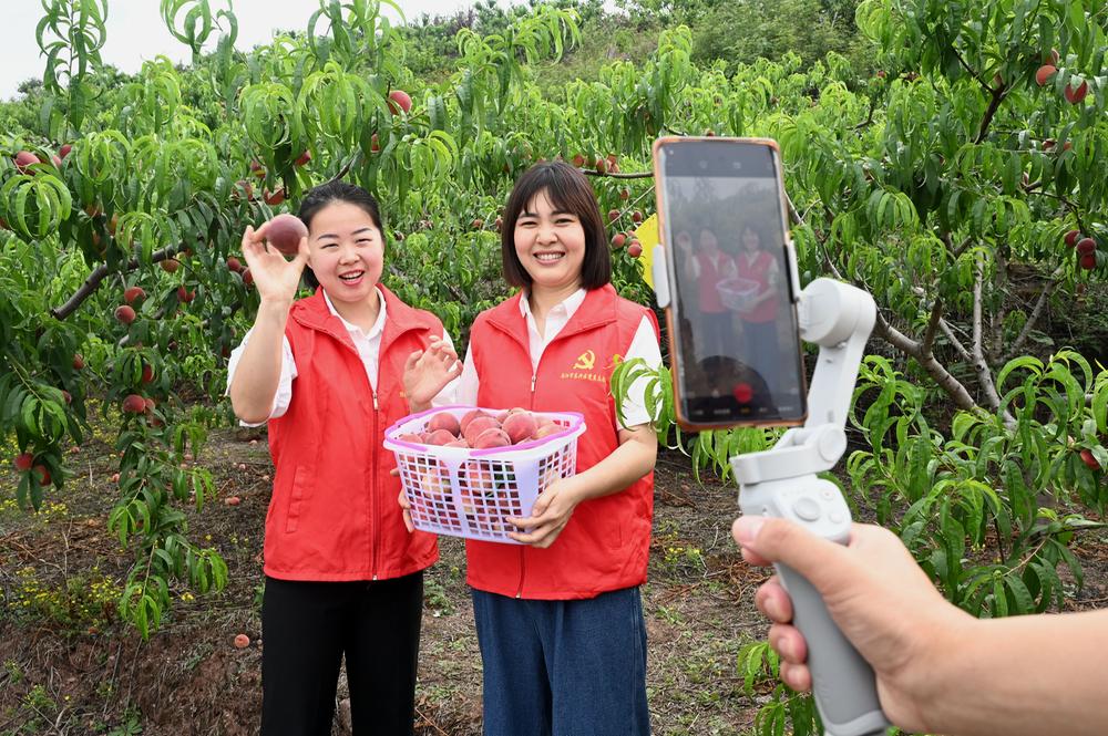 东兴区：纪检干部化身“助农推广员” 