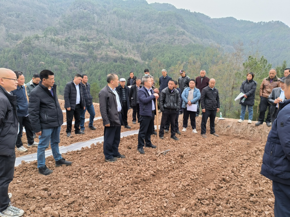 南江兴马镇：“五个聚焦”做好新时代乡镇人大工作