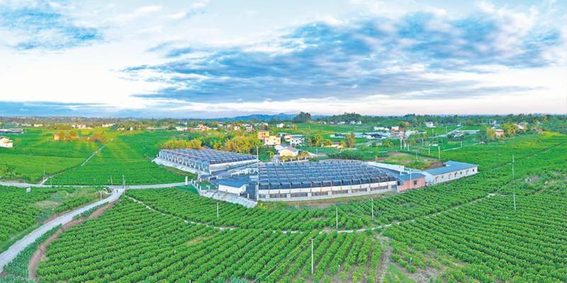 以新思路孕育新“丝路”