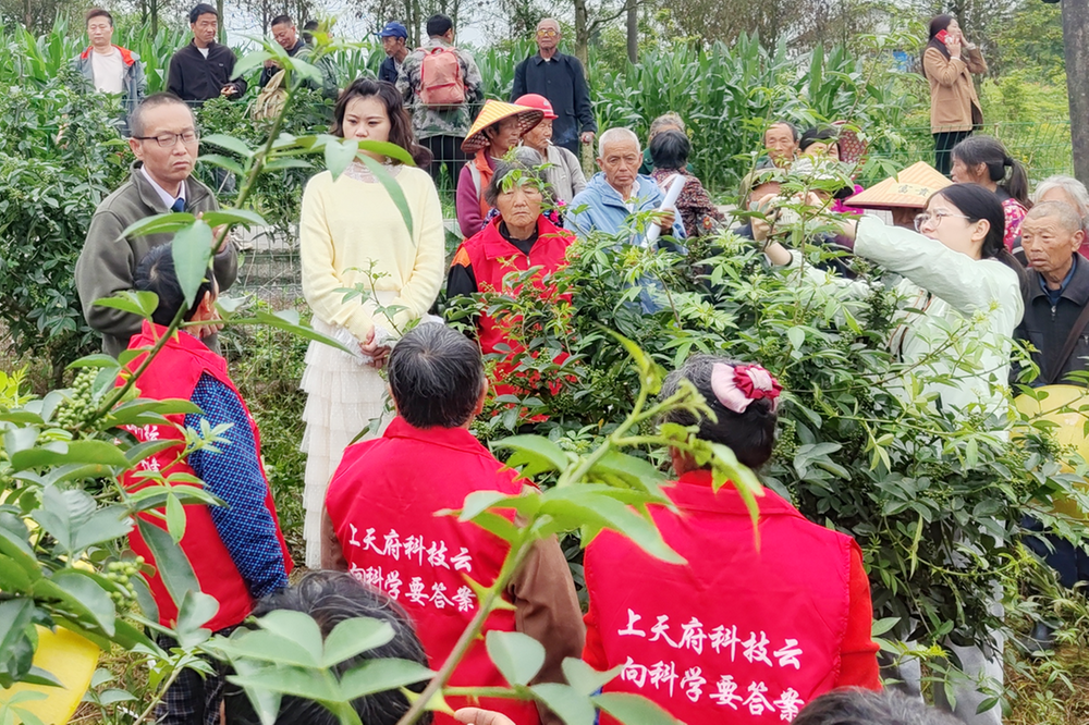 前锋区：点亮精神火炬 助力乡村振兴