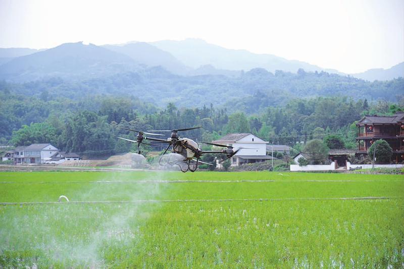 沃野田畴 生机勃勃