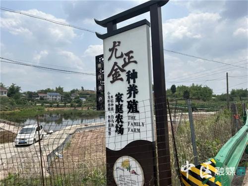 内江市市中区：稻田养虾，“蹦出”大效益