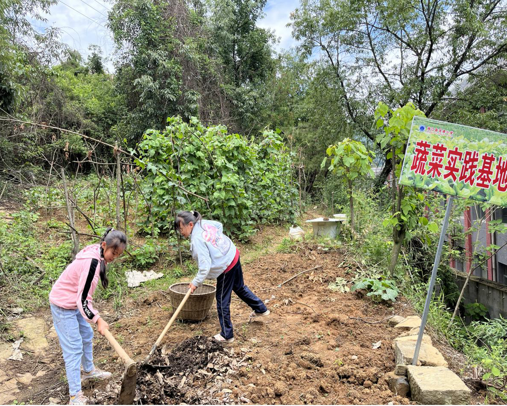 南江县龙渠小学上好劳动教育课
