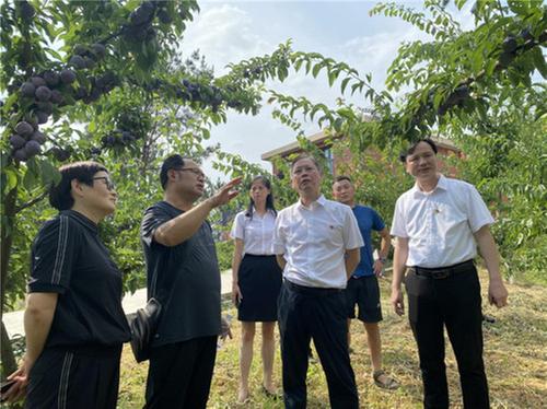 巴中市科协联合南江县科协开展主题党日暨廉洁文化宣传月活动