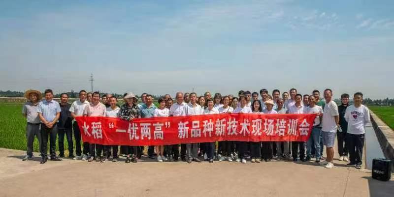 东坡区“同心圆”助农专家在永丰村举办首期现场培训会