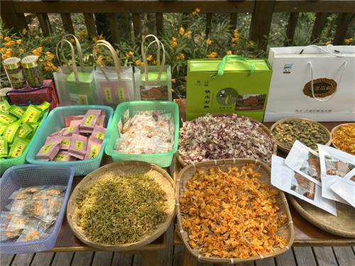 丹棱县石斛花开出乡村“致富花”