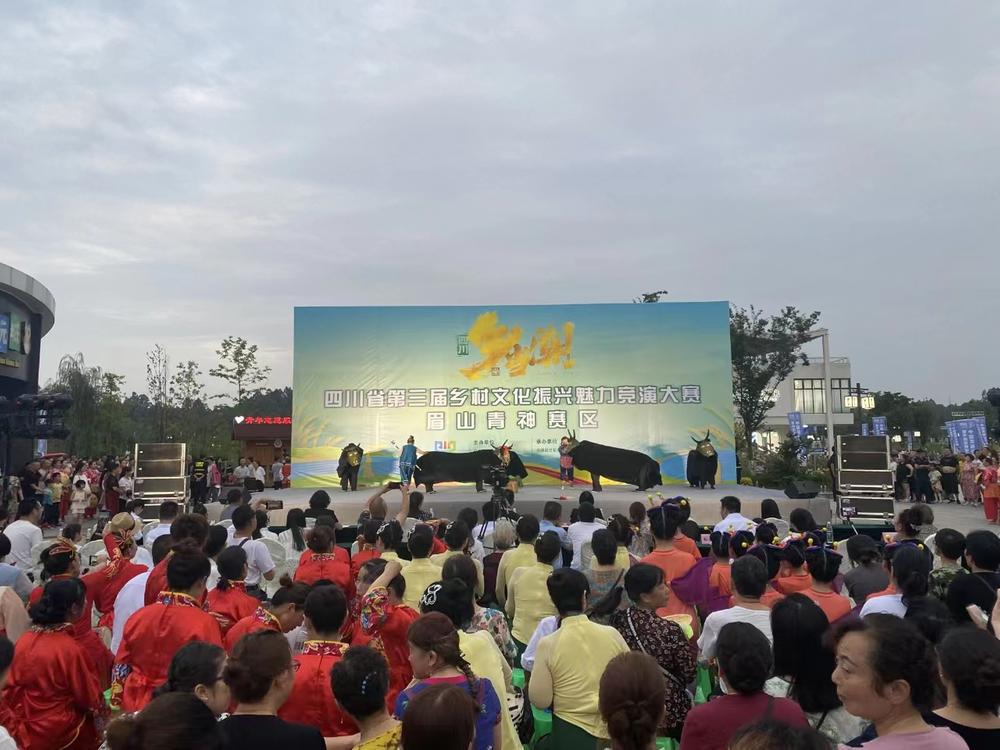乡村文化魅力足 青神这场盛会“乡”当潮