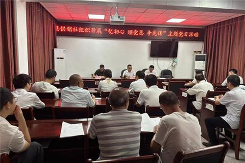 岳池县供销社开展“忆初心 颂党恩 争先锋”主题党日活动