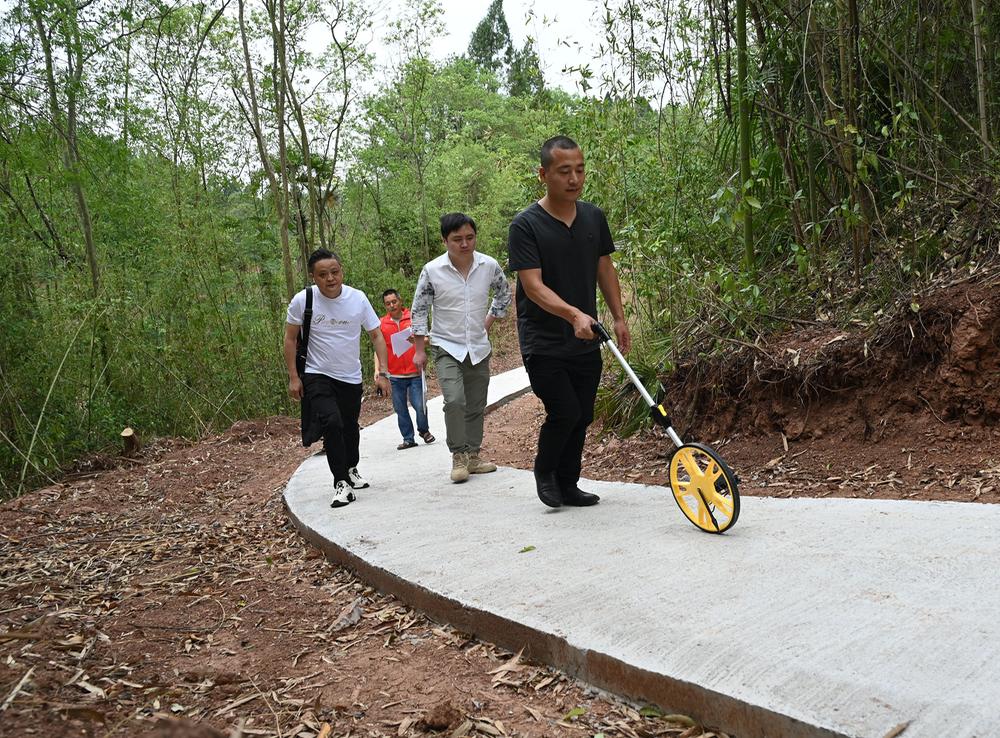 东兴区：防火步道护航森林安全