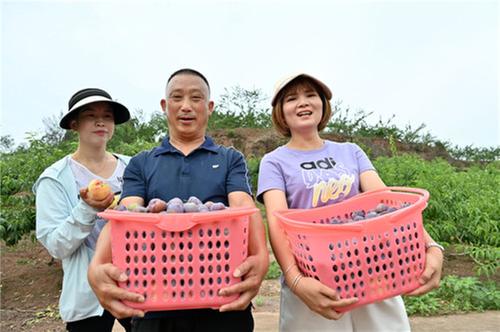 东兴区 ：彬彬有“李” “桃李”欢心