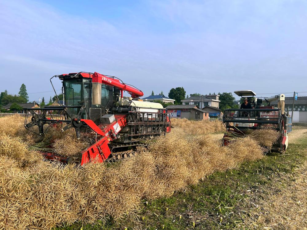 洪雅：农业机械化助力更高水平“天府粮仓”建设